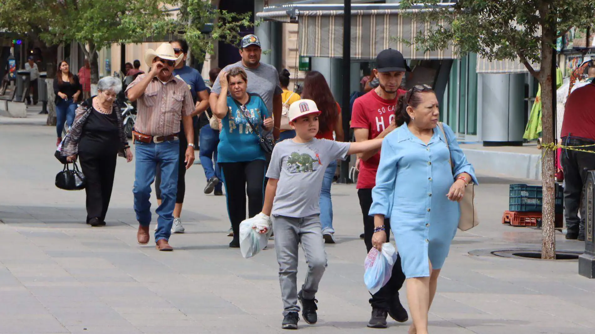 Movilidad Chihuahua Centro 